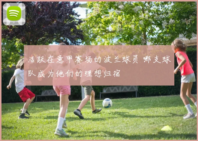 活跃在意甲赛场的波兰球员 哪支球队成为他们的理想归宿